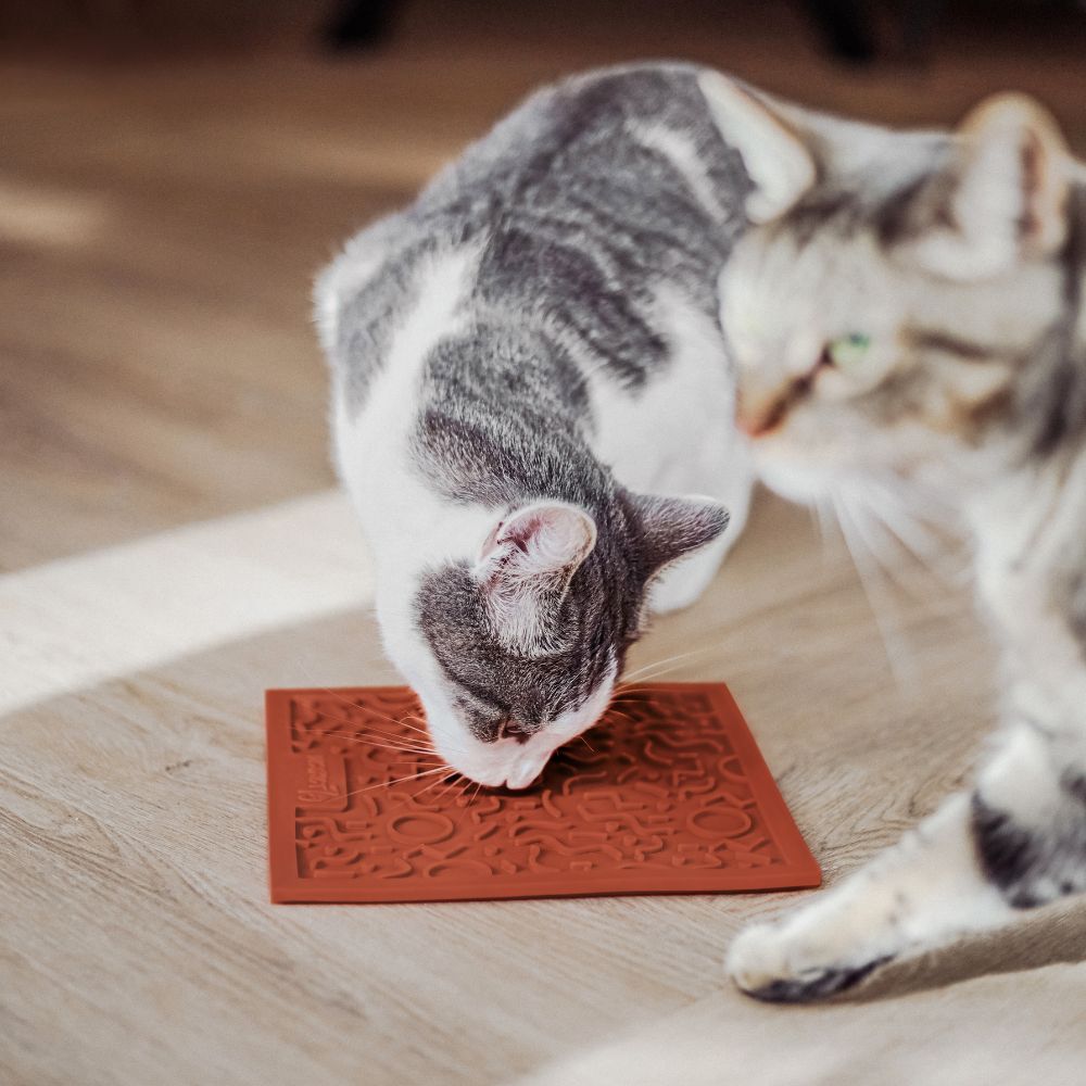 QUEST likmat voor katten in terra - District 70