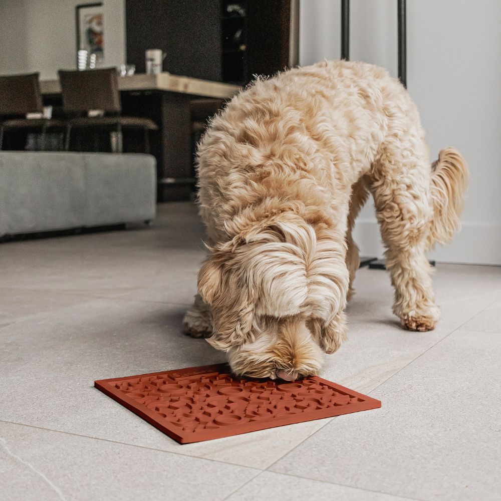 Likmat voor hond in terra met hond in actie - QUEST District 70