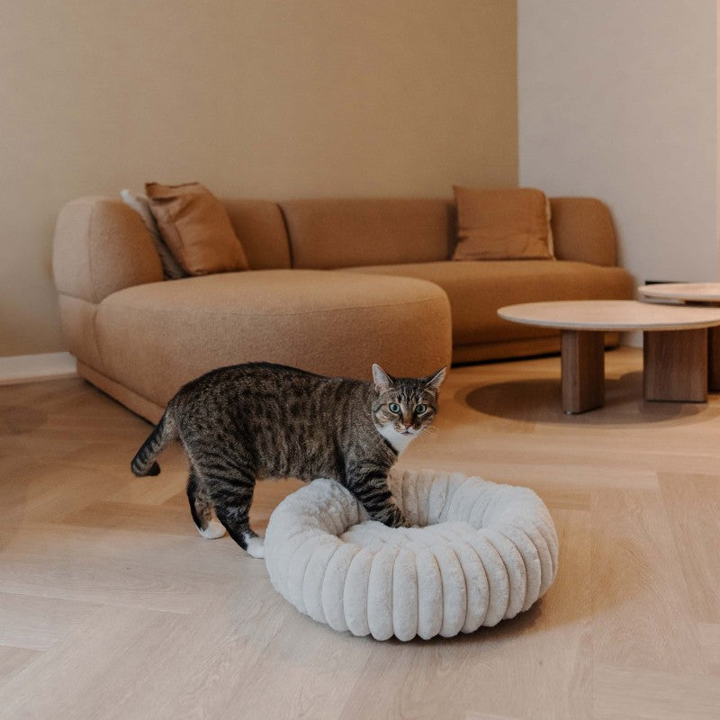 Donzige kattenmand in interieur lifestyle - RIBBA District 70