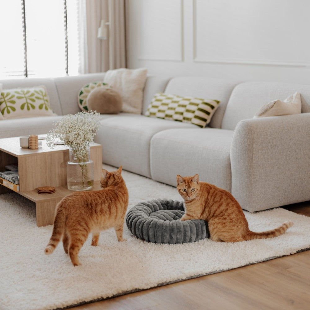 Comfortabele ronde kattenmand met kat - RIBBA District 70