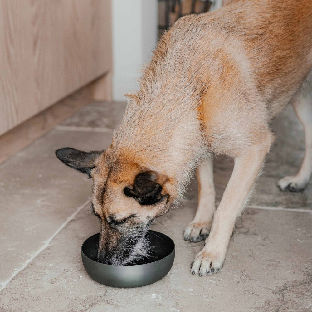Voerbak voor hond in antraciet maat M - ROYAL District 70