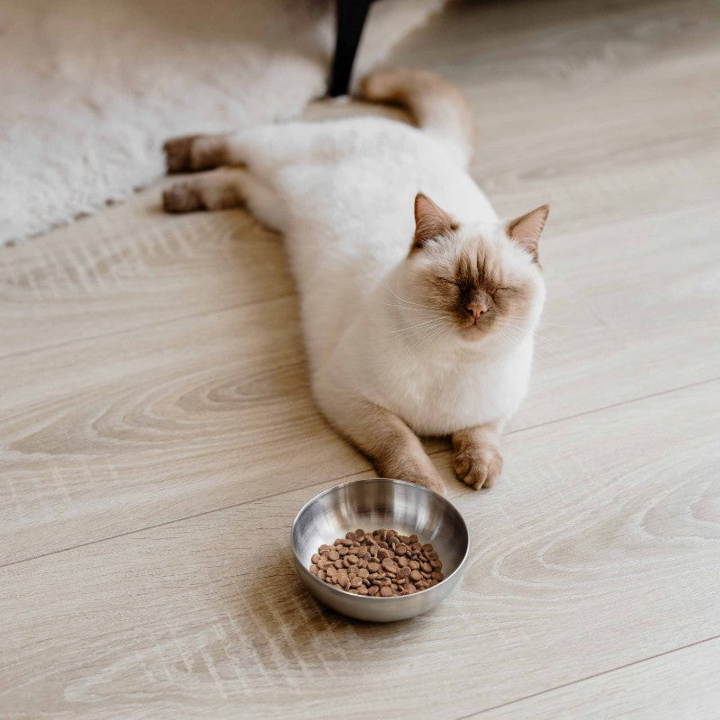 ROYAL voerbak voor katten in zilver lifestyle foto - District 70