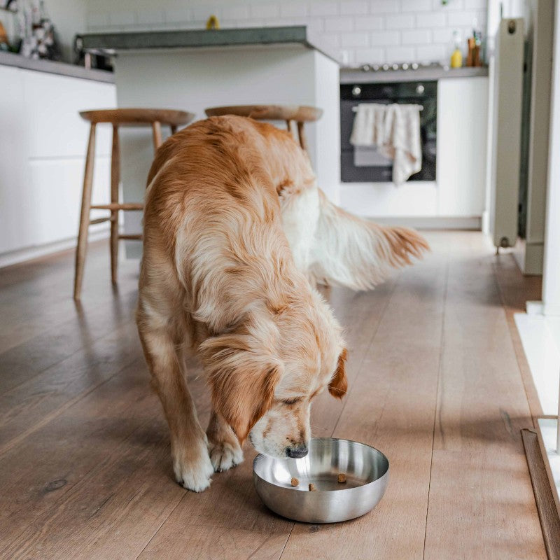Roestvrijstalen voerbak voor hond in zilver maat L - ROYAL District 70
