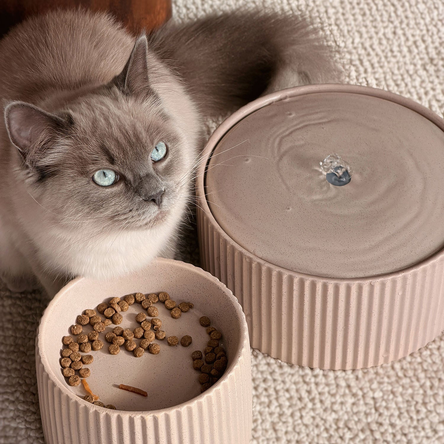 SENSE - Keramische voerbak voor katten