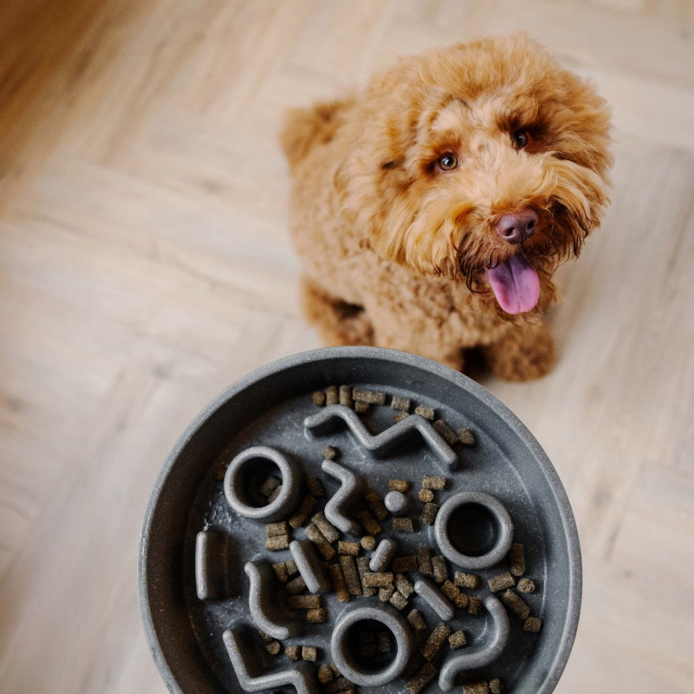 Anti-schrok voerbak voor hond in gebruik - BAMBOO District 70