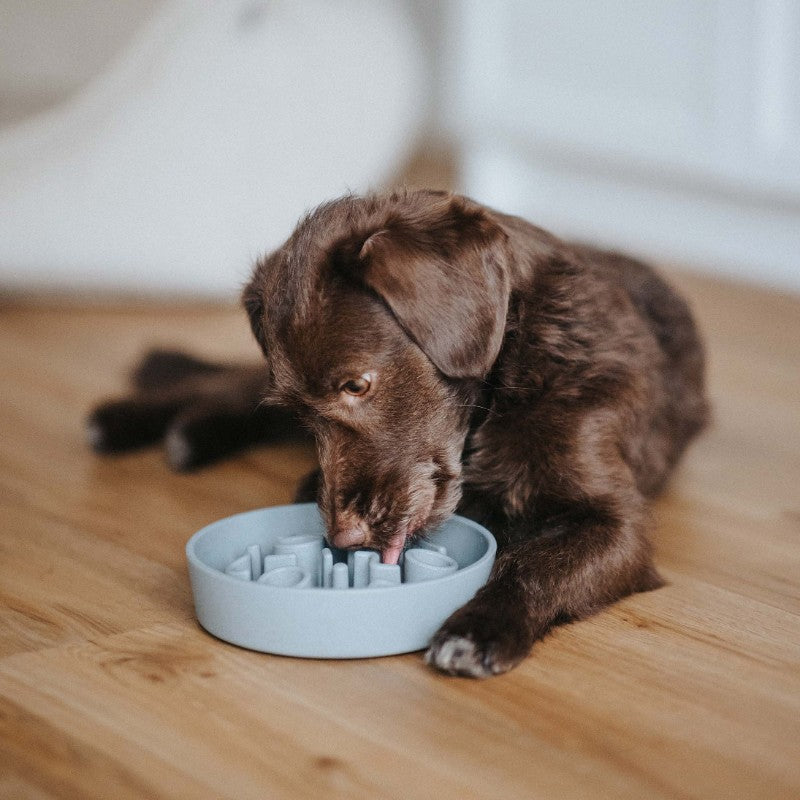 Slow feeder voor hond maat 17 cm detail - BAMBOO District 70