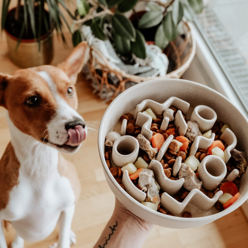 Slow feeder voor hond maat 21 cm lifestyle - BAMBOO District 70