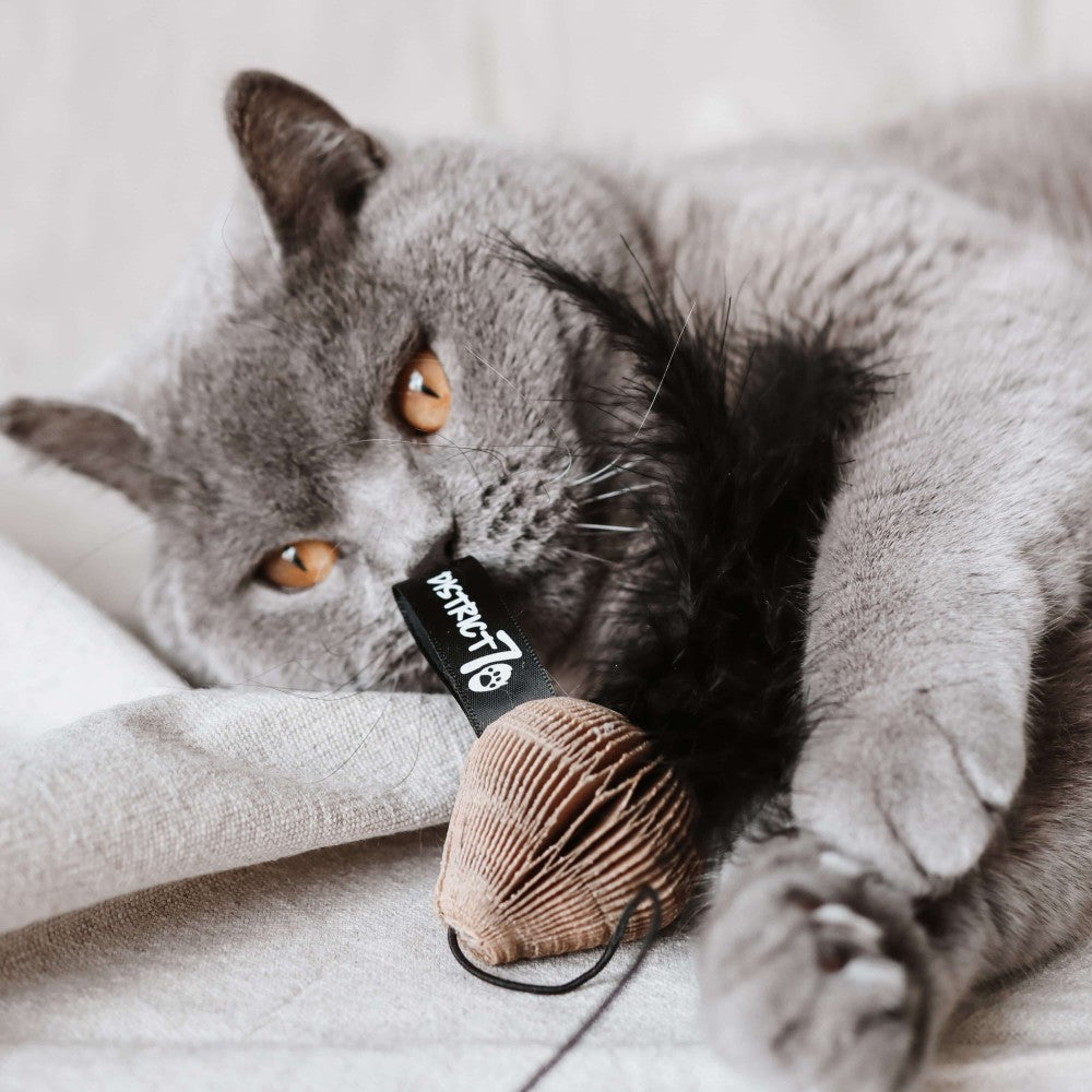 SMASH kattenhengel met kat in actie - District 70