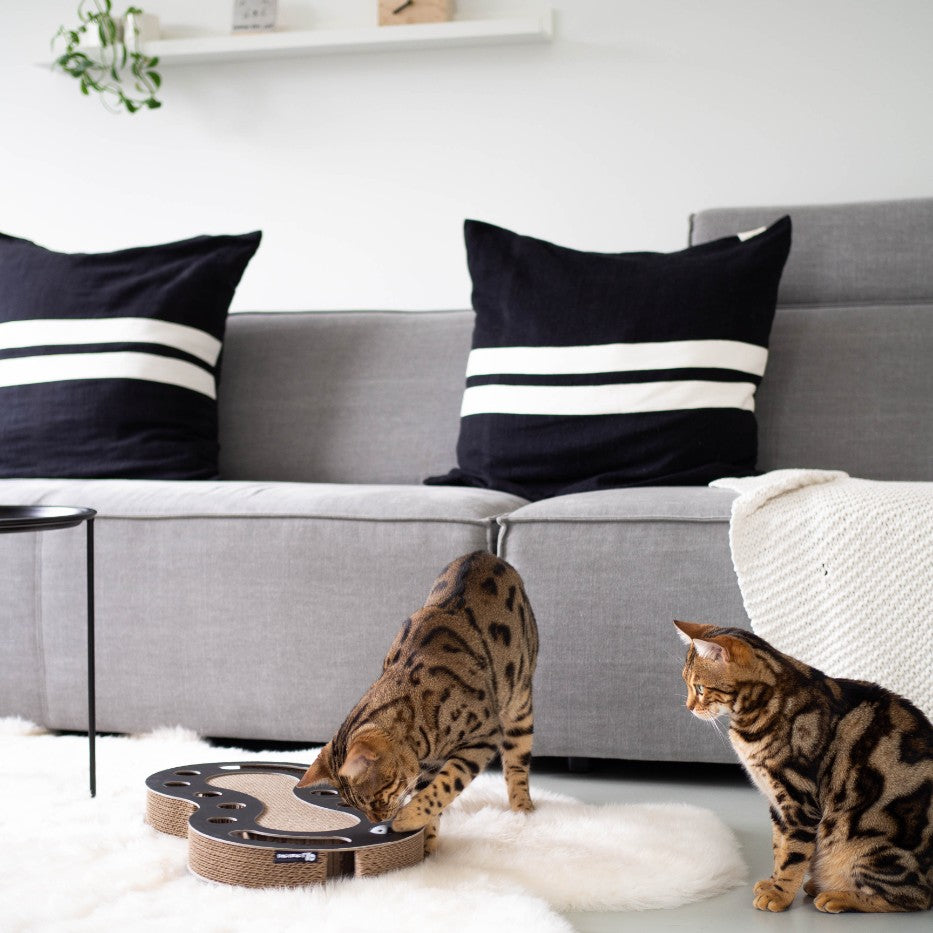 SNAKE krabspeelgoed in zwart lifestyle foto - District 70