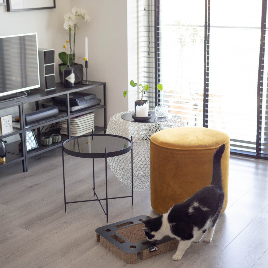 SPY krabspeelgoed in zwart lifestyle foto - District 70