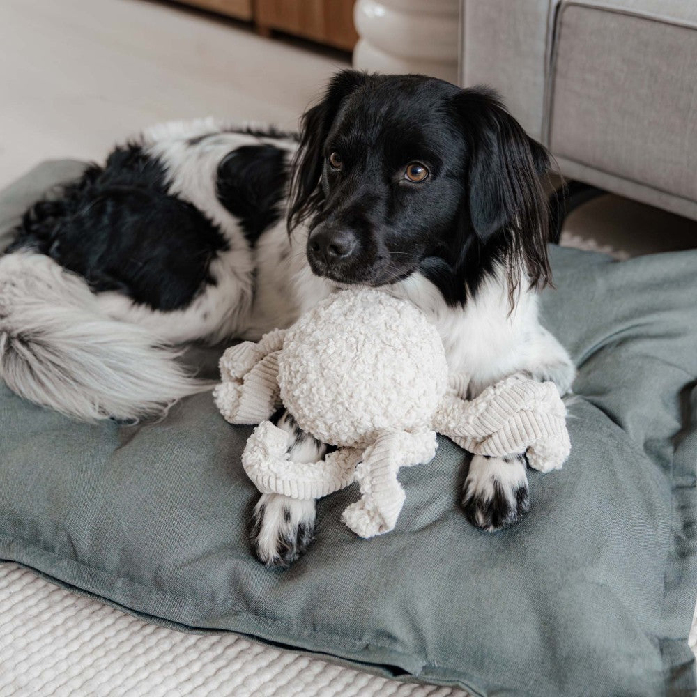 Merengue knuffel-octopus voor honden - SQUID District 70