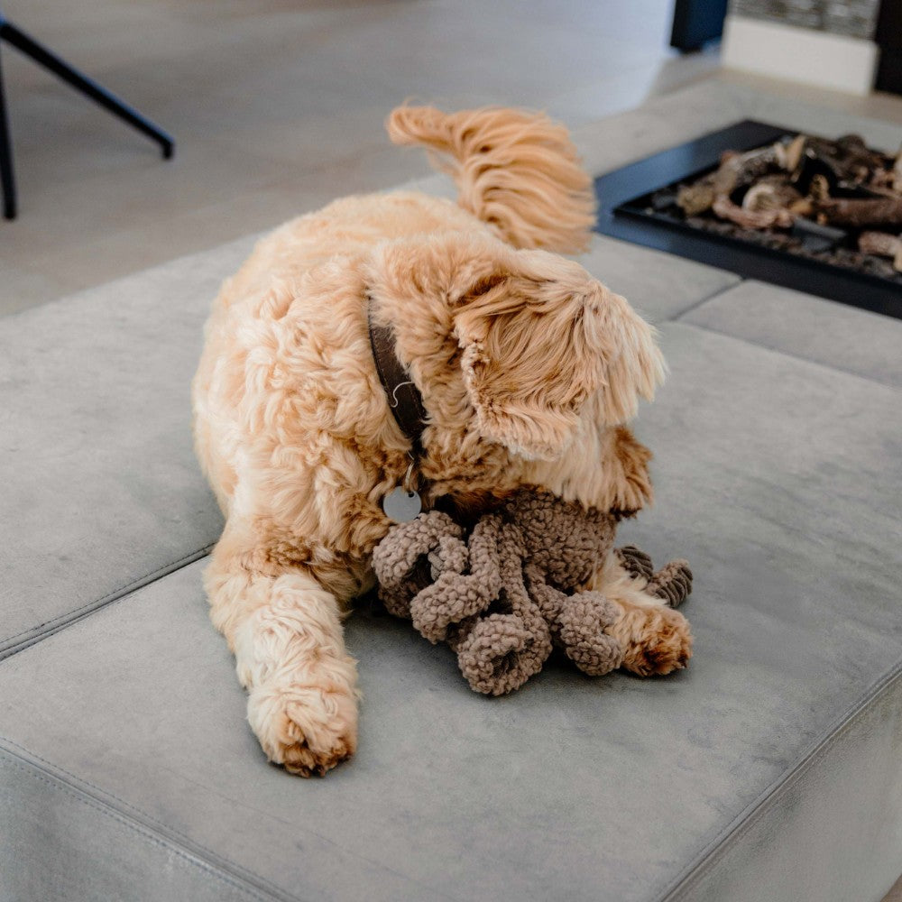 Taupe pluche hondenspeelgoed om te spelen en knuffelen - SQUID District 70