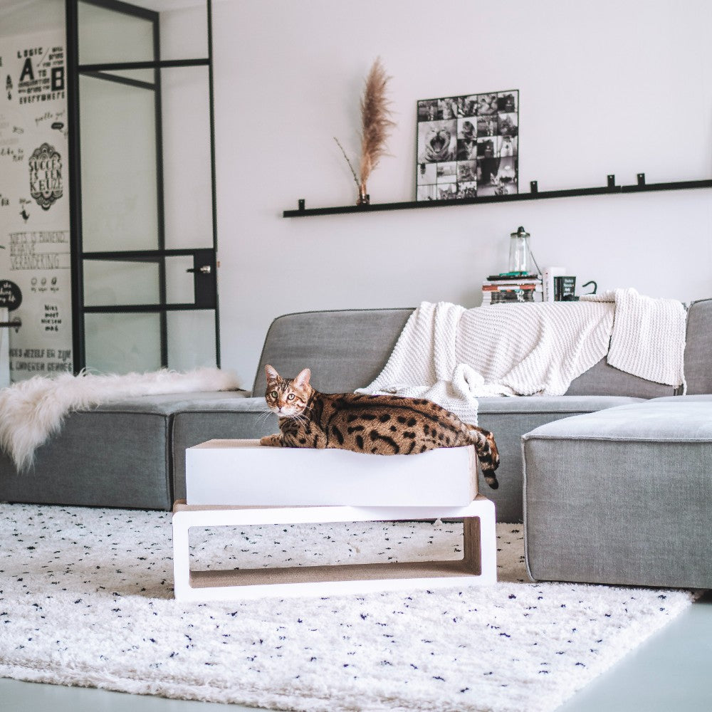STRETCH krabmeubel met kat in interieur - District 70