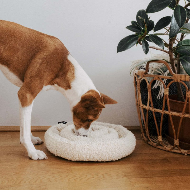 Merengue snuffelmat voor honden - SWIRL District 70