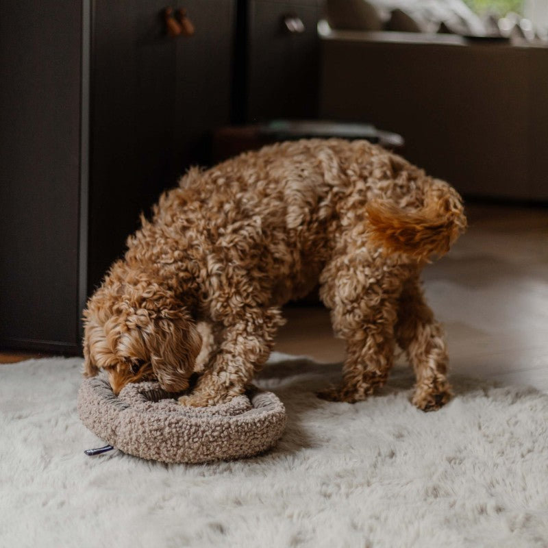 Taupe snuffelmat voor hersenwerk en speels zoeken - SWIRL District 70