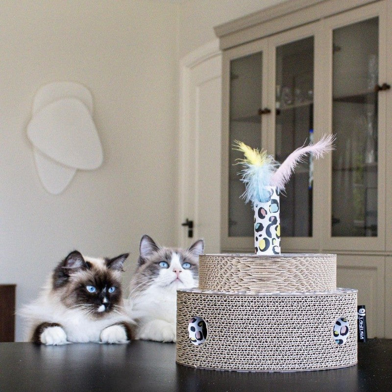 FIESTA kattenspeelgoed sprinkle variant lifestyle - District 70