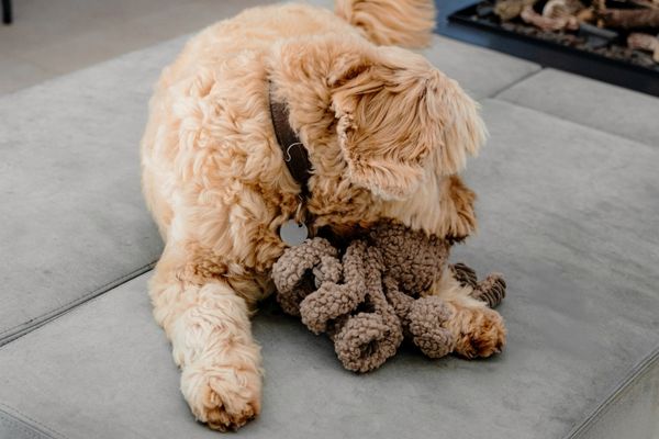 District 70