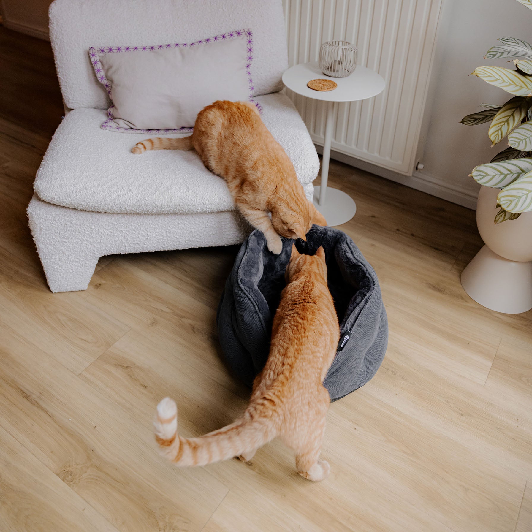 TUCK - Ribstof en zachte pluche kattenmand