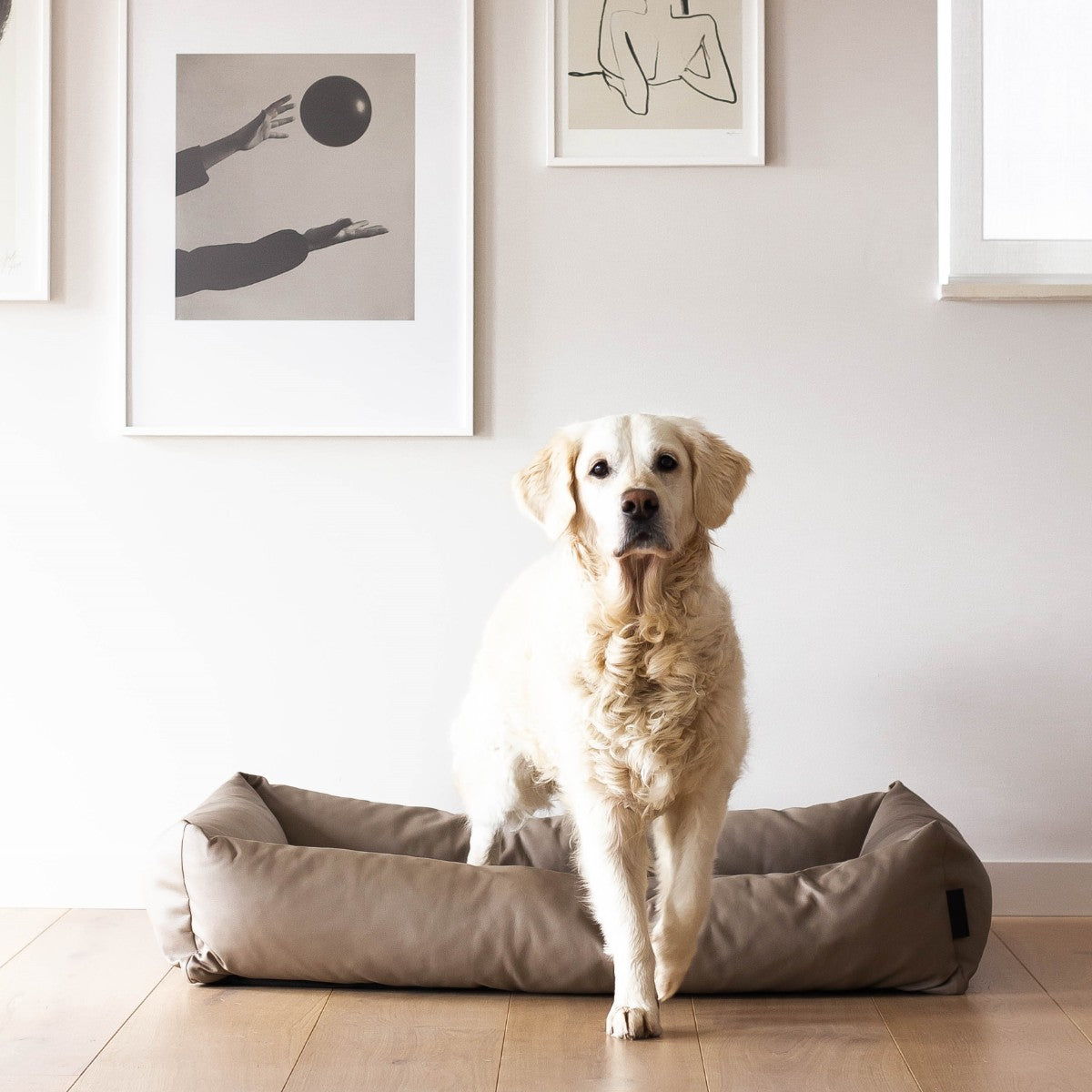 Stijlvolle leren-look hondenmand met hond - URBAN District 70