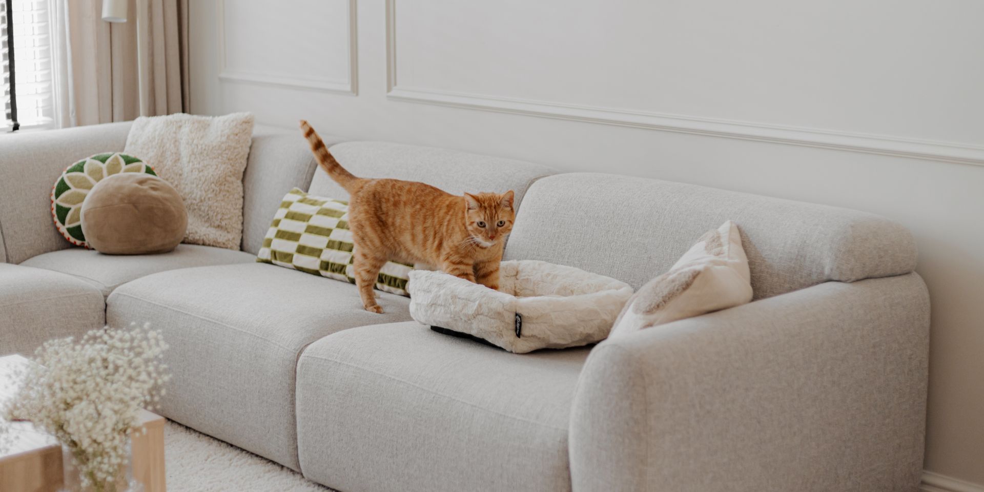 Zachte kattenmand met blokjespatroon in interieur - MOSA District 70