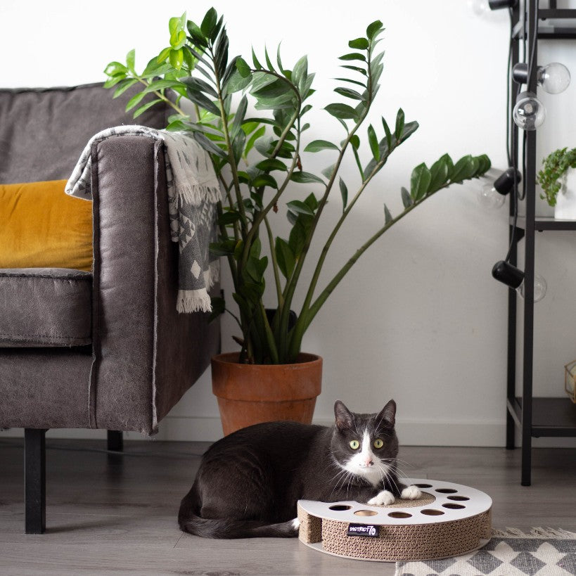 WHIRL krabspeelgoed met kat - District 70