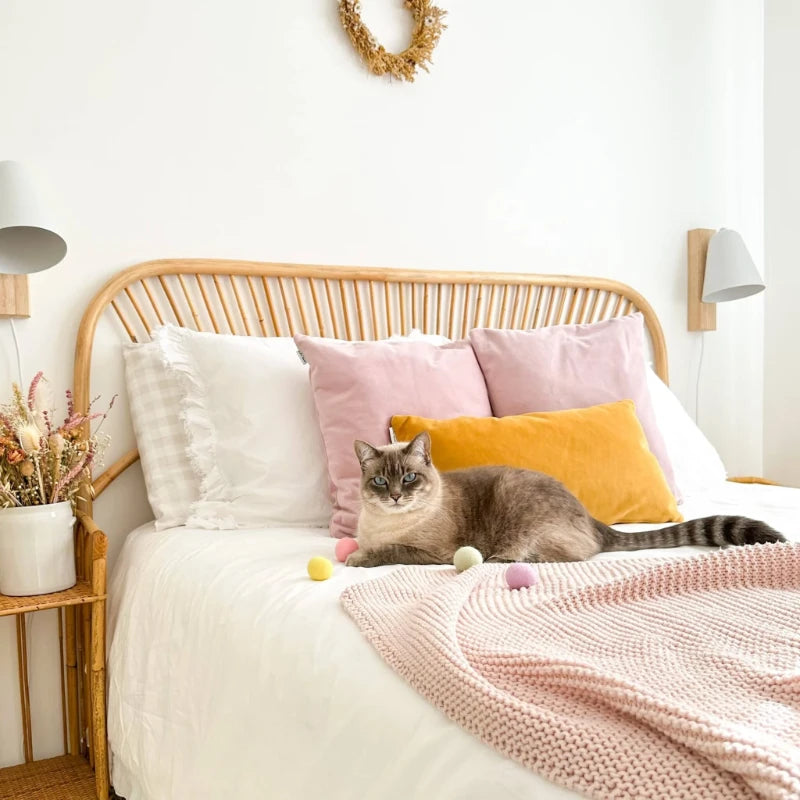 FAIRY vilten balletjes voor katten - District 70