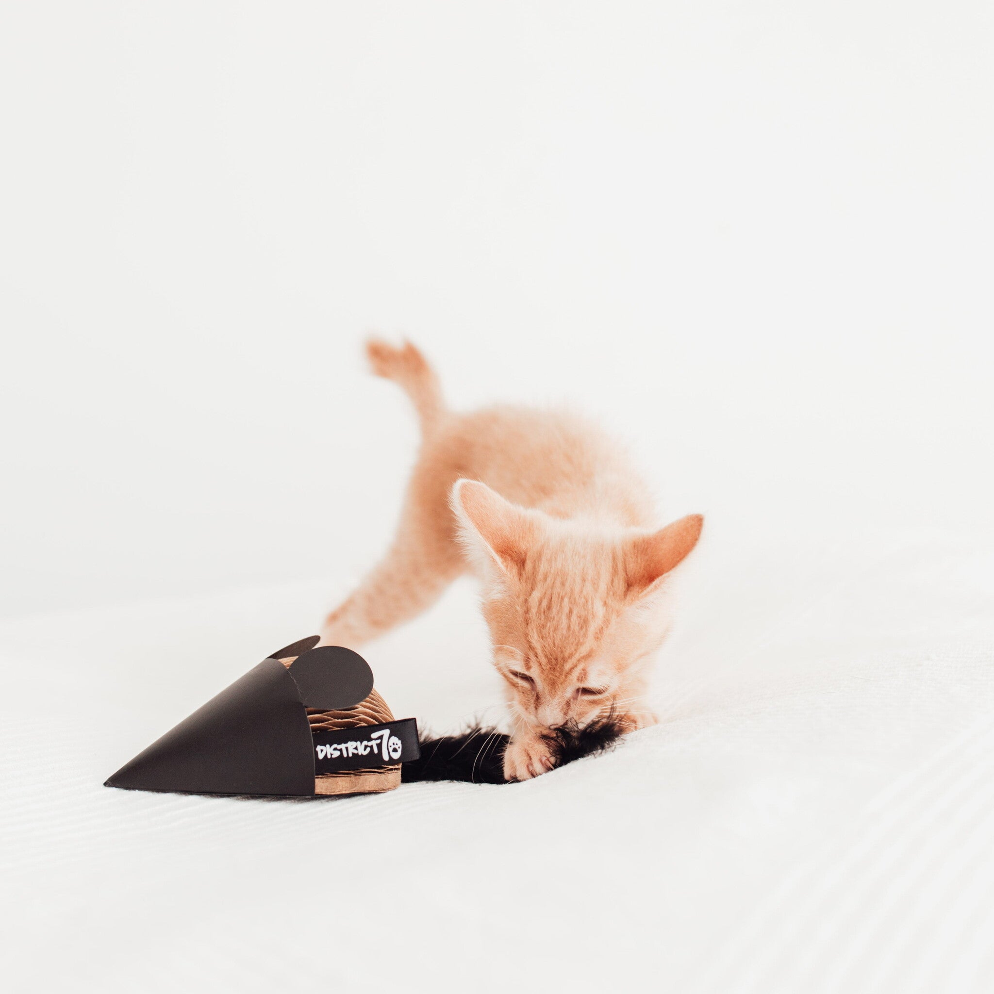 GIFT SET kattenspeelgoed in gebruik - District 70
