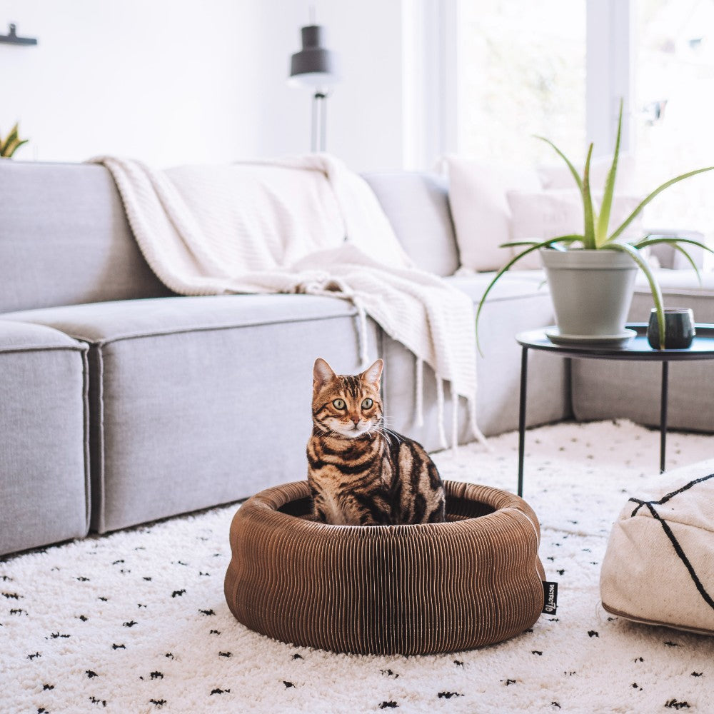 Kattenmand met kat in actie - MAZE District 70