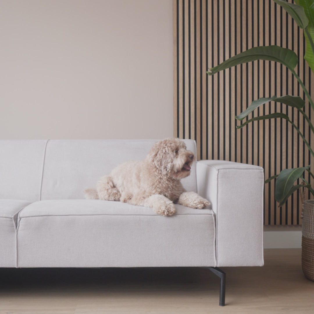 Video laden: NUZZLE - Mand voor op de bank