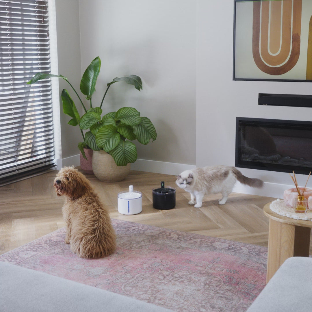 Video laden: FLOW - Filters