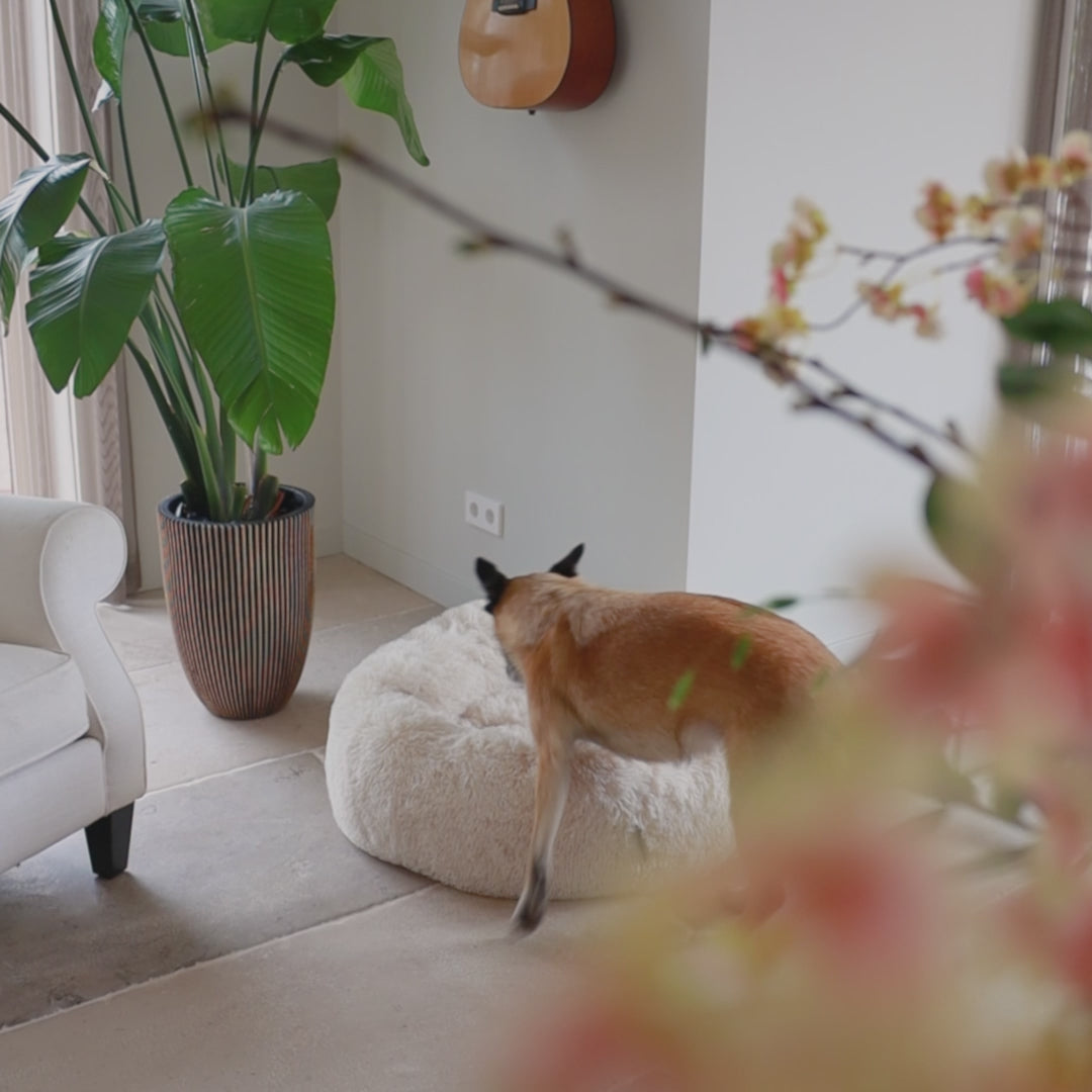 Video laden: FUZZ - Fluffy donut mand