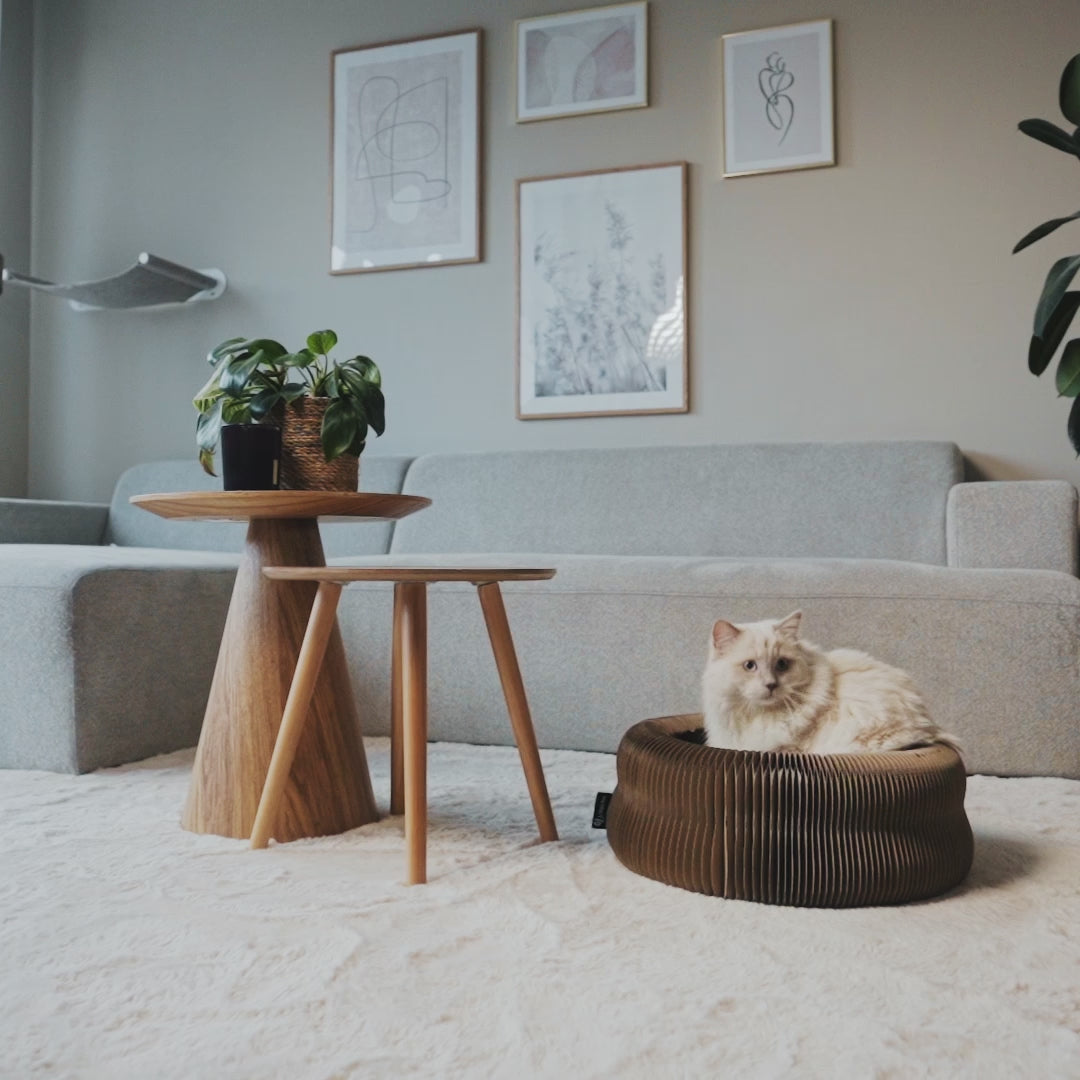Video laden: MAZE - 3-in-1 opvouwbare kattenmand